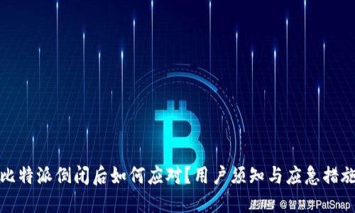 比特派倒闭后如何应对？用户须知与应急措施