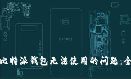 : 解决比特派钱包无法使用的问题：全面指南