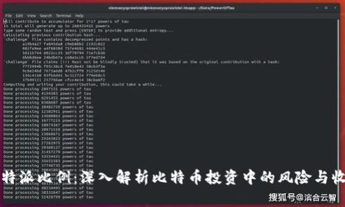 比特派比例：深入解析比特币投资中的风险与收益