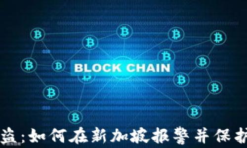 
比特派被盗：如何在新加坡报警并保护您的资产