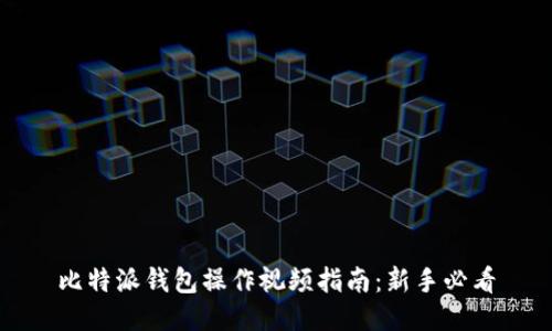 比特派钱包操作视频指南：新手必看
